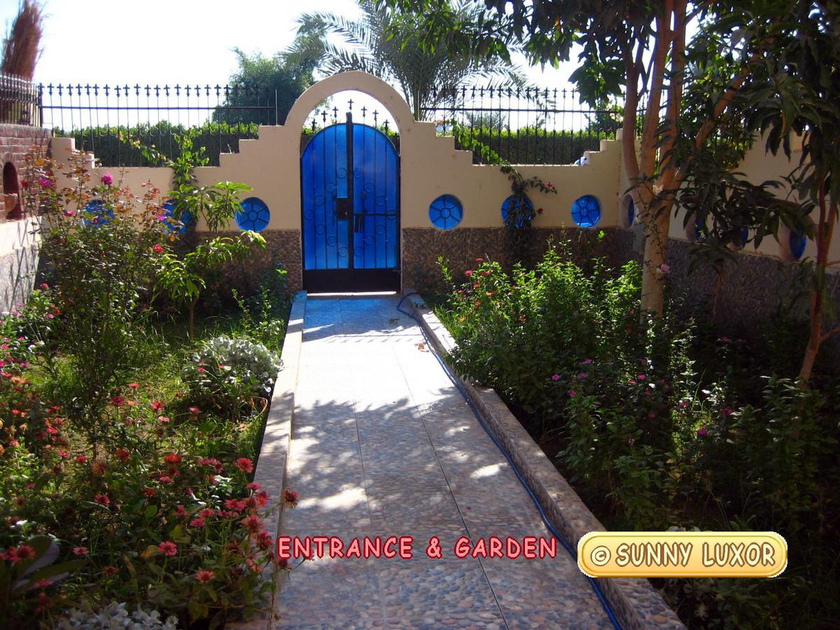 Sunny Luxor Apartment Exterior photo